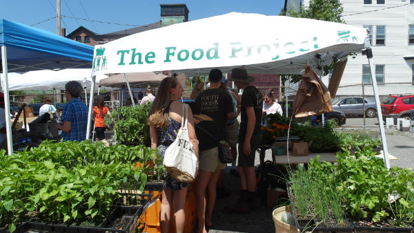 The Food Project is one of many vendors selling local produce, seedlings, meat, fish, bread, cheese, eggs, wine, spices, and prepared foods at Egleston Farmers Market, opening for the season on Saturday, June 7 for a local foods BBQ lunch from 11am-2pm. The market is open on Saturdays, 10am-2pm, June-February, at Our Lady of Lords Parish Hall, 45 Brookside Ave., JP.