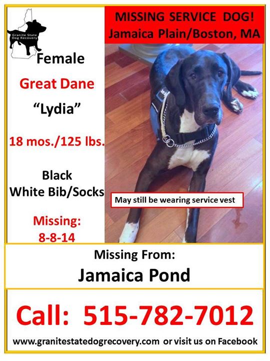 Poster for Lydia, a Great Dane service dog who had gone missing Friday, Aug. 8, 2014. She returned home the next day and is no longer lost.