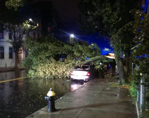 A tree fell across Washington Street during a storm on Wednesday, Oct. 22, 2014.